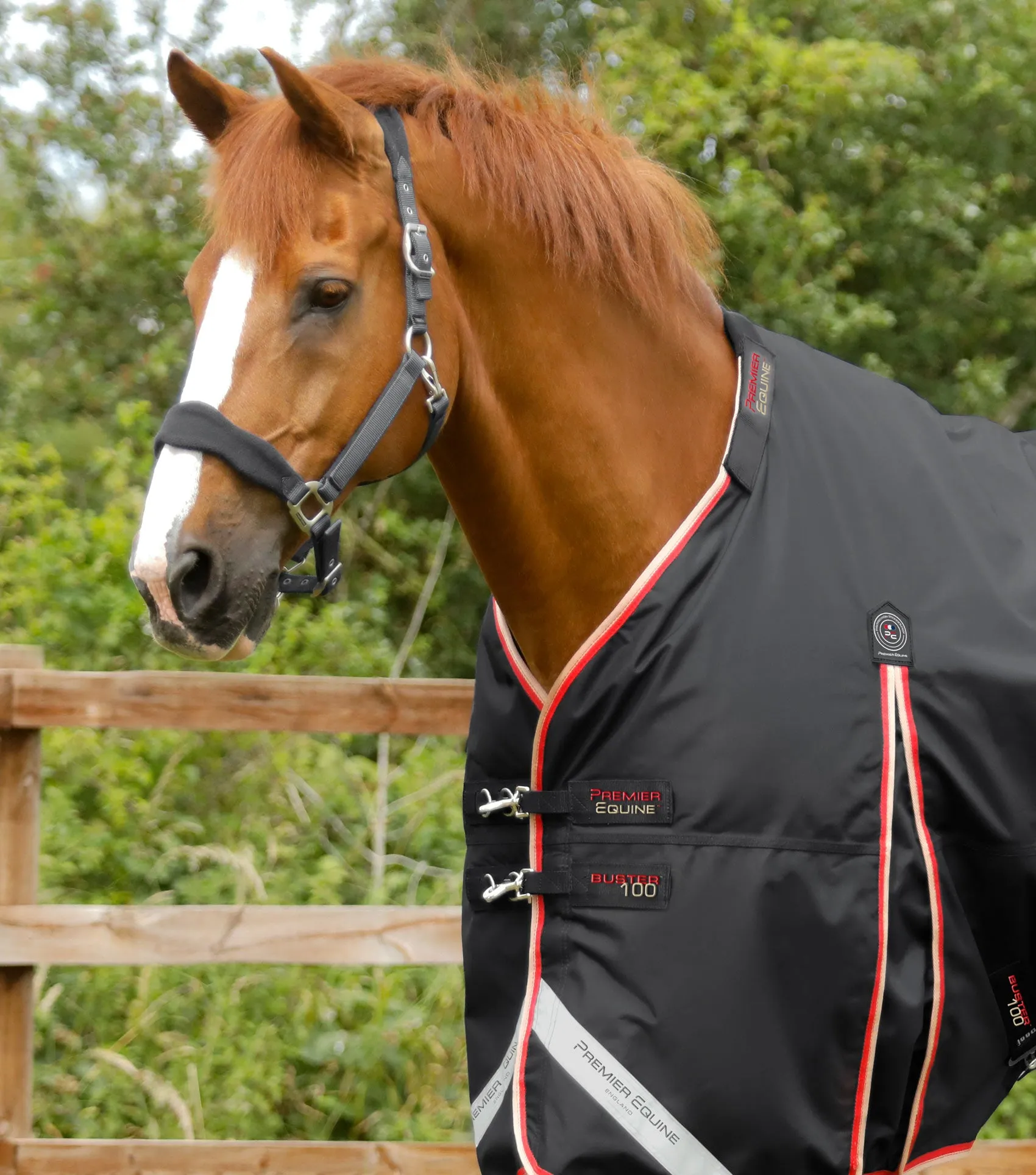 Buster 100g Turnout Rug with Snug-Fit Neck Cover Black