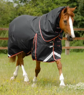 Buster 100g Turnout Rug with Snug-Fit Neck Cover Black