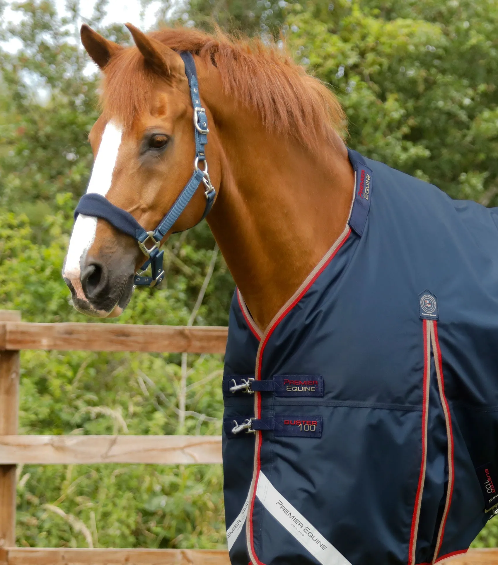 Buster 100g Turnout Rug with Snug-Fit Neck Cover Navy