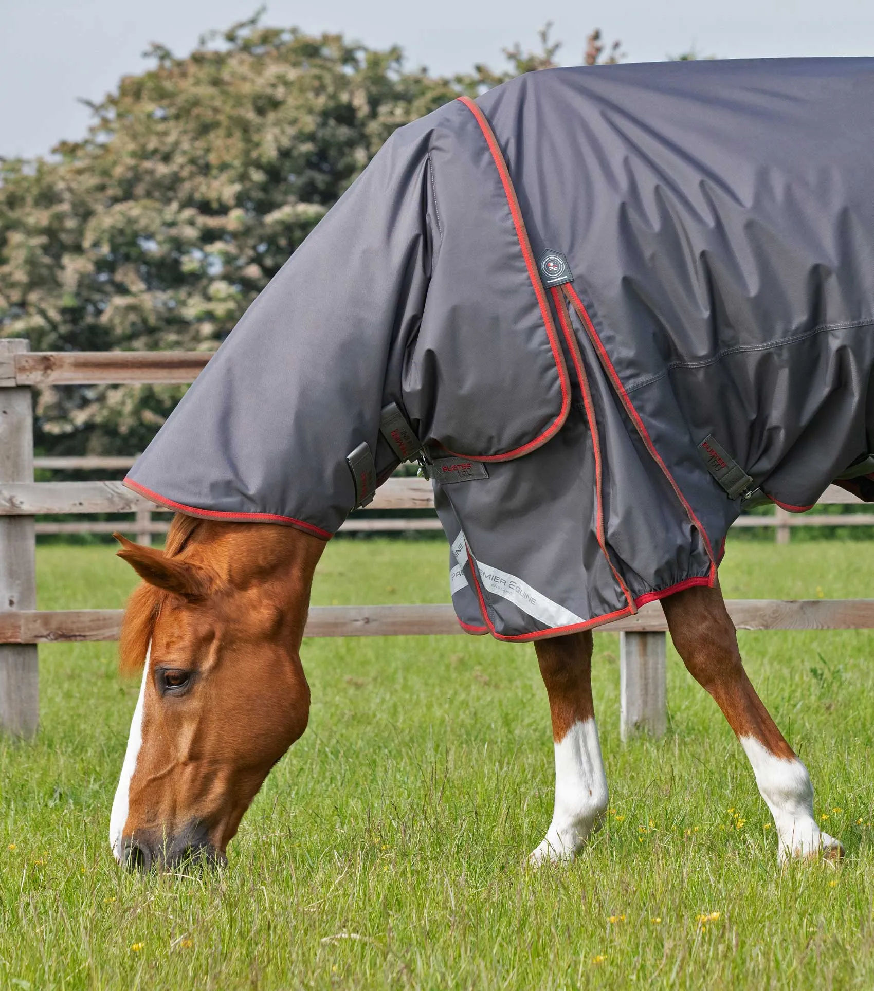 Buster 150g Turnout Rug with Classic Neck Cover Grey