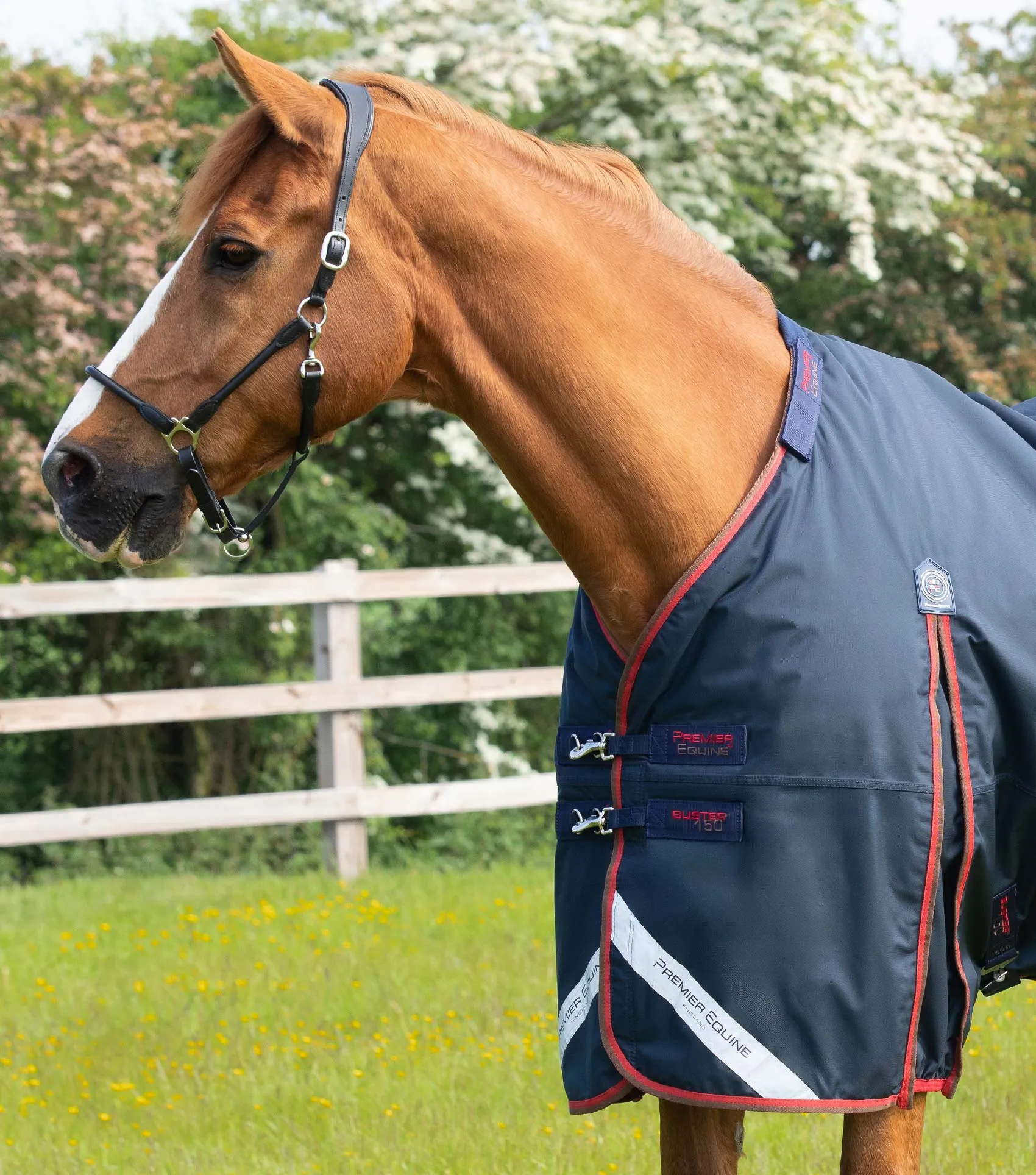 Buster 150g Turnout Rug with Classic Neck Cover Navy