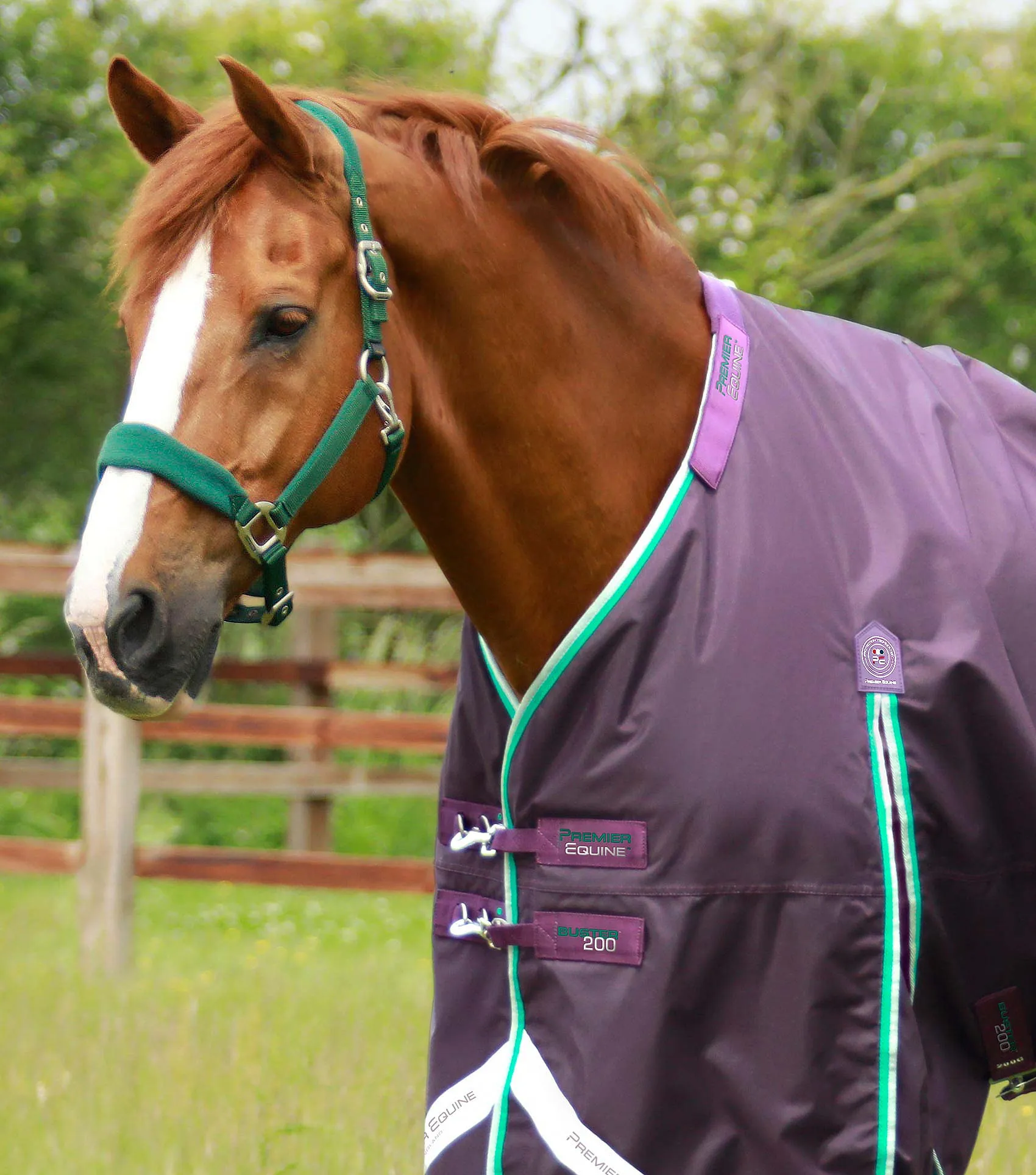 Buster 200g Turnout Rug with Snug-Fit Neck Cover Purple