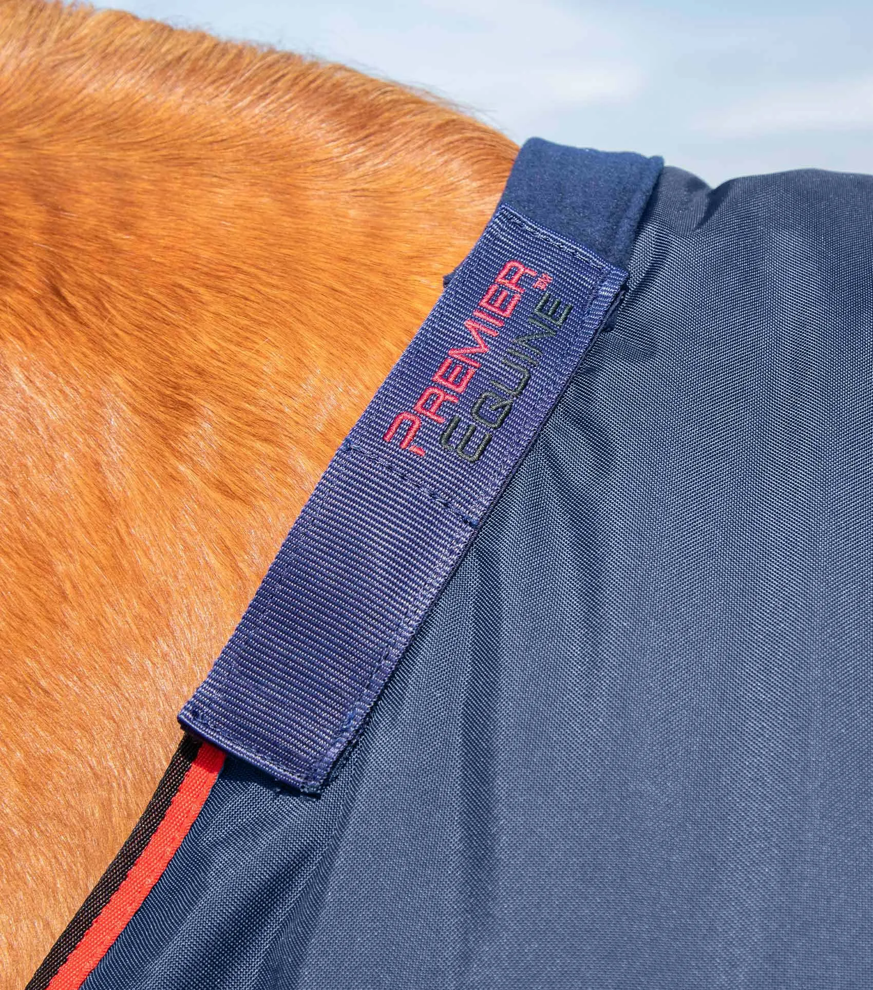 Buster 250g Turnout Rug with Classic Neck Cover Navy