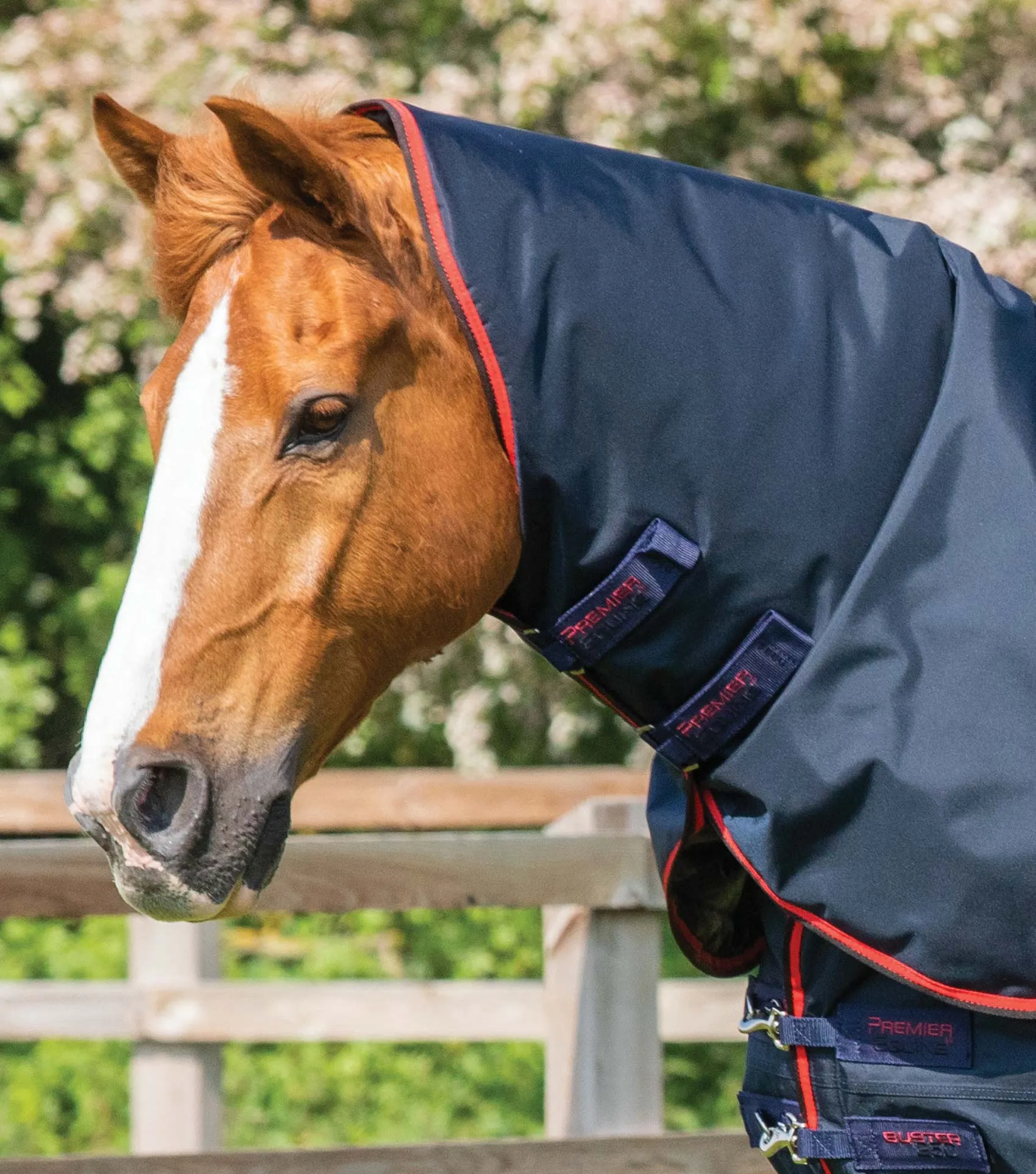 Buster 250g Turnout Rug with Classic Neck Cover Navy