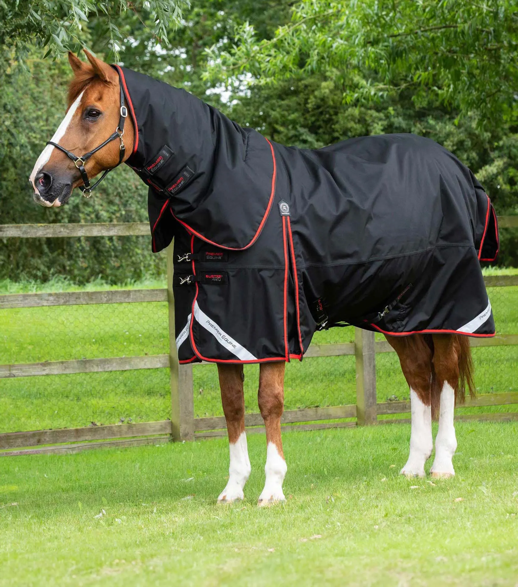 Buster 420g Turnout Rug with Classic Neck Cover Black