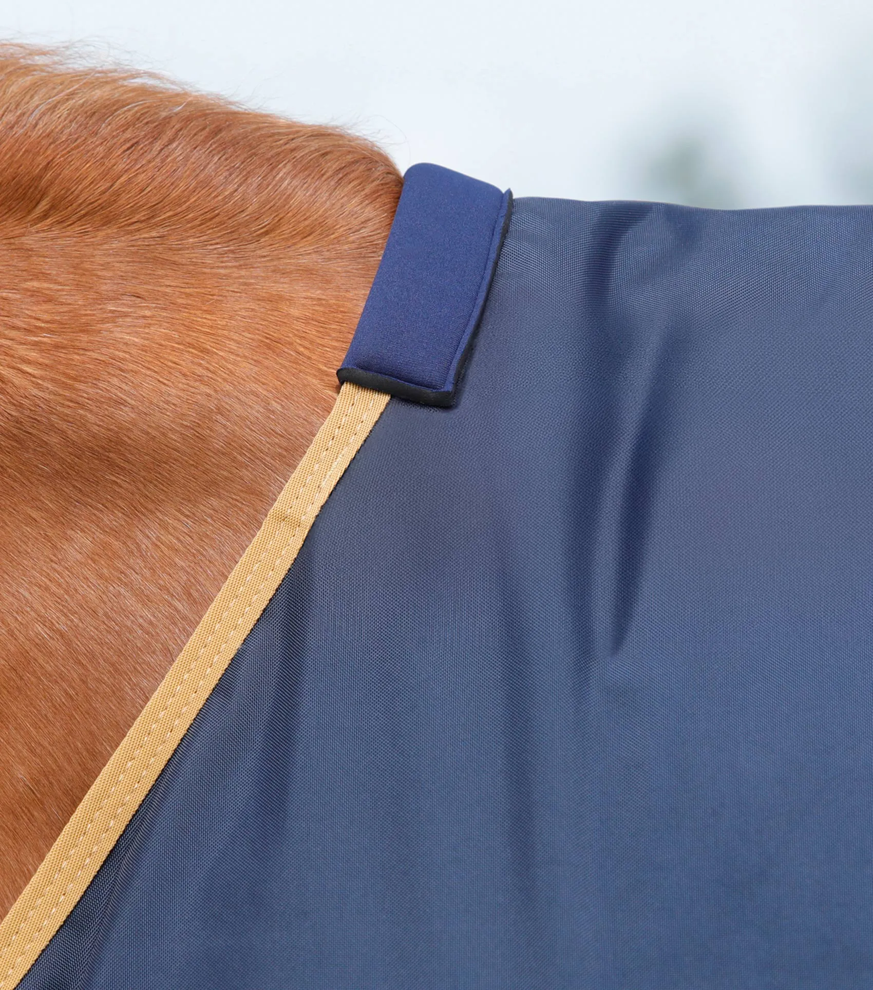 Buster 50g Original Turnout Rug Navy