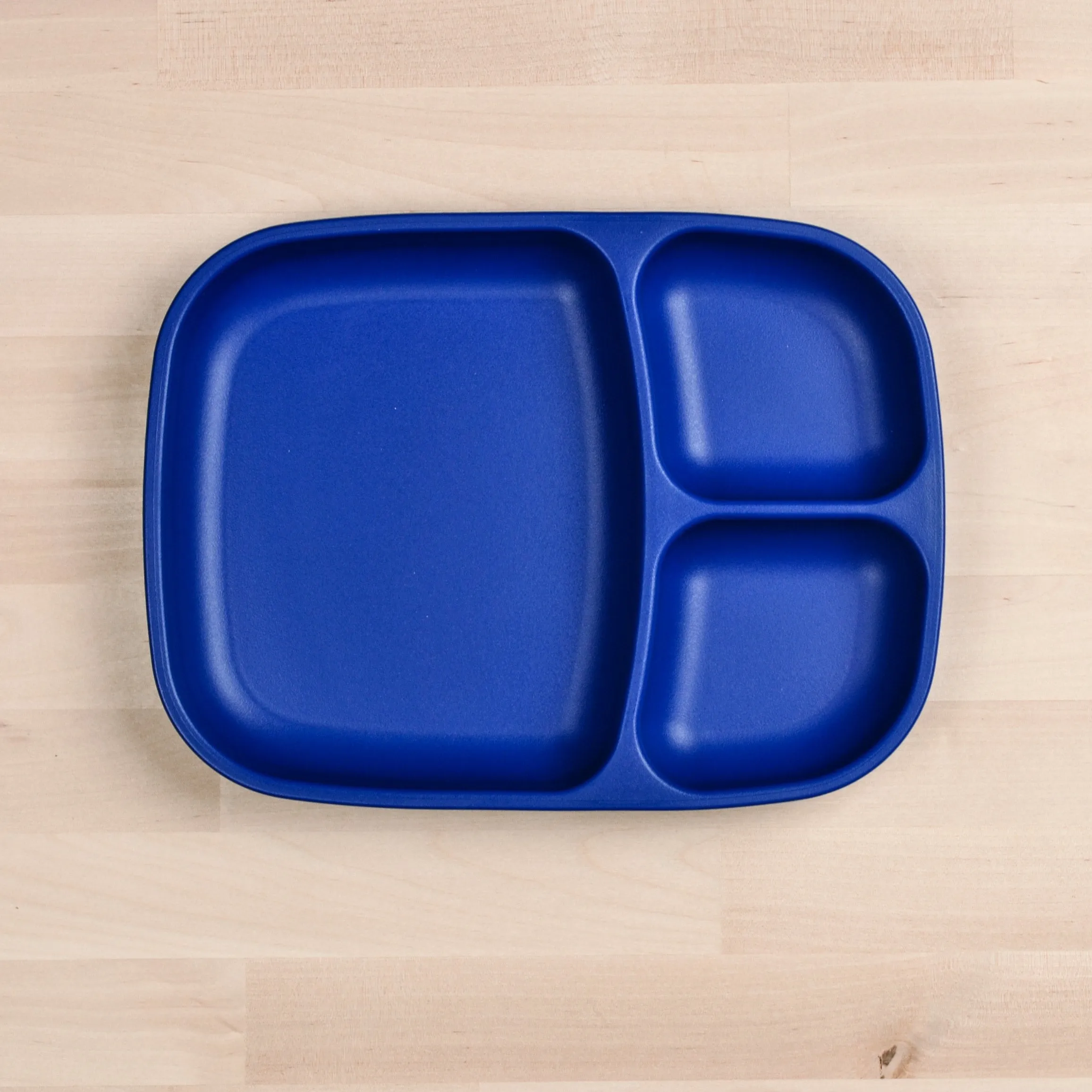 Divided Tray | Navy Blue