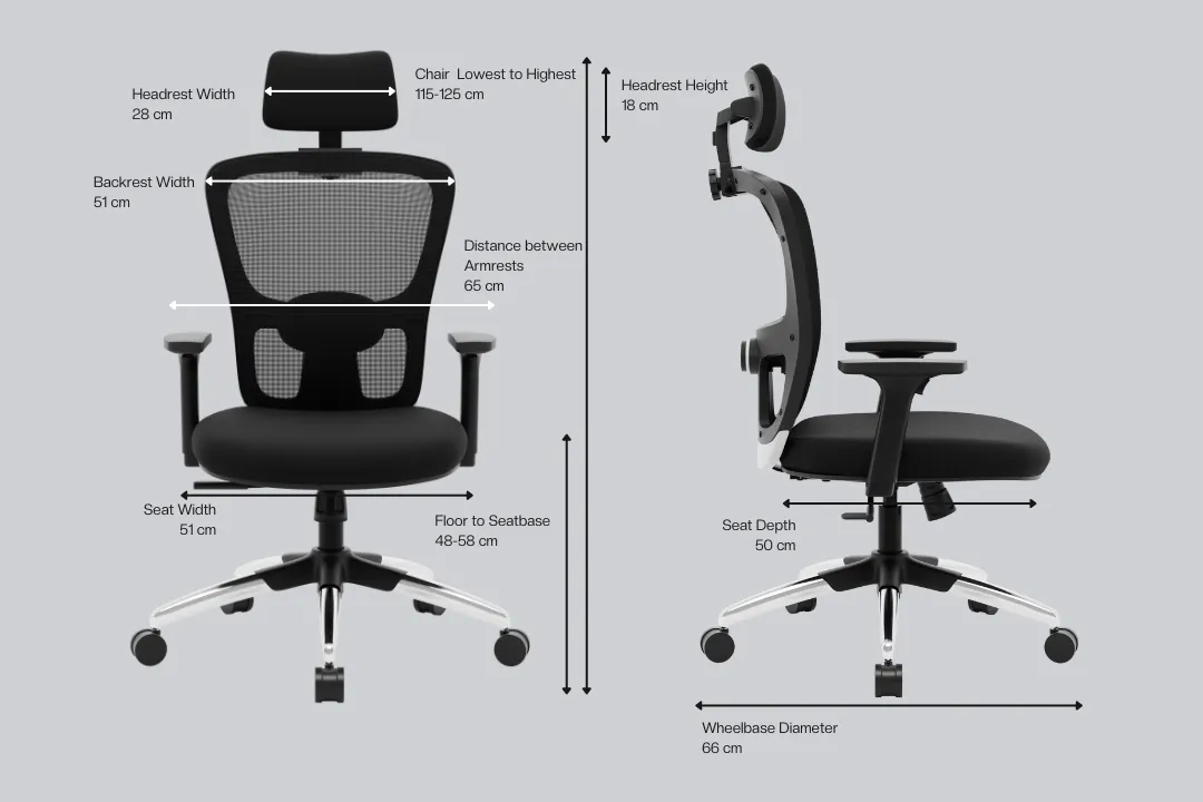 Green Soul Renewed Jupiter Superb High Back Office Chair